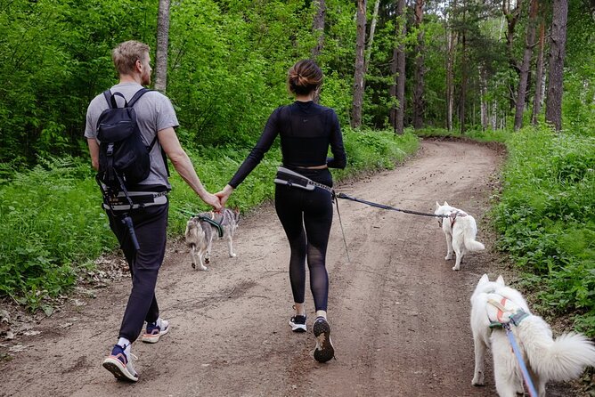 Husky Trekking in Natural Park near Vilnius - Inside the Husky Village: Meeting the Dogs Like a Routine, Not a Rush