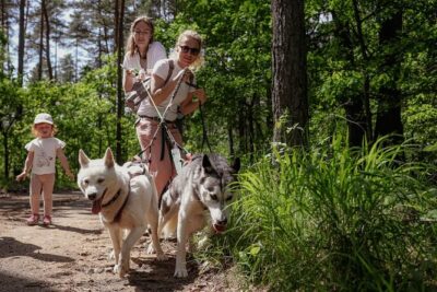 Husky Trekking in Natural Park near Vilnius - Getting There From the Vilnius Area Without Stress