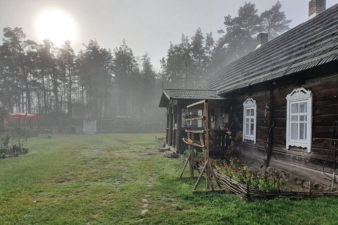Husky Trekking in Natural Park near Vilnius - After the Walk: Tea, Biscuits, Coffee, and Puppy Time