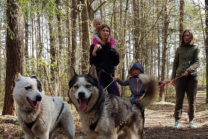 Husky Trekking in Natural Park near Vilnius - Price and Value: Is $46.16 Worth It?