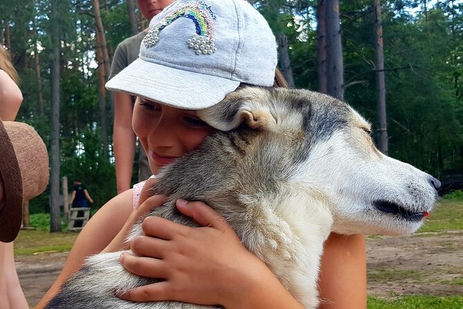 Husky Trekking in Natural Park near Vilnius - Who This Husky Trek Is Perfect For