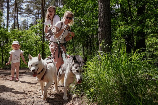 Husky Trekking in Natural Park near Vilnius - Getting There From the Vilnius Area Without Stress