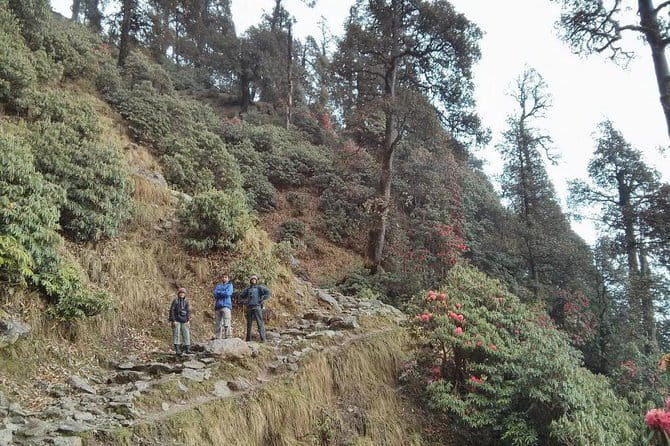 Indrahar Pass Trek with Manu Adventures India - Camping, tents, and meals that keep you moving
