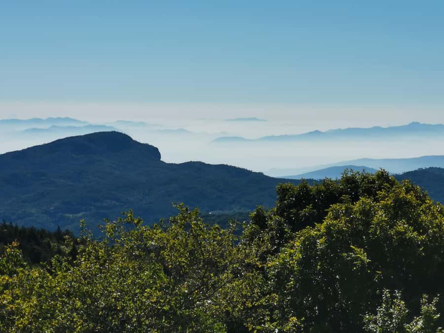 Inthanon national park, Trekking and Sightseeing in one day. - Price and value: what you’re really paying for (and what you aren’t)