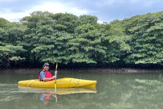 Iriomote’s Adventure: Pinaisara Falls Canoe and Trekking Tour - Uehara Port at 9:00: A Small Group Day Trip That Actually Feels Manageable