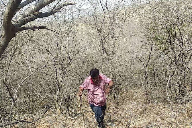 Jaipur Trekking and Hiking Tour with Guide - Small-group pacing: capped at 20 hikers, built for mixed abilities