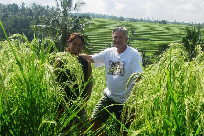 Jatiluwih full day e-bike cycling with lunch & trekking program - Price and value: is $88 a good deal for this mix?