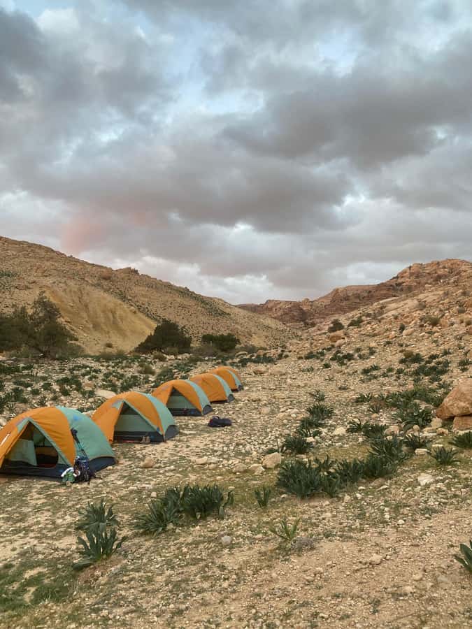 Jordan Trail: Dana to Petra 4-Day Trekking Tour - Bedouin valleys and guide power: Essa, Ahmad, and the human side