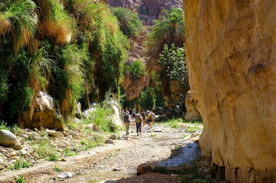 Jordan Trail: Dana to Petra 4-Day Trekking Tour - Who should book this Dana to Petra trek (and who should skip it)