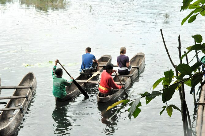 Jungle Trekking and Tamblingan Lake Canoeing in Bali Rainforest - Tamblingan Lake: the calm, crater-fed Bali you don’t get on the coast