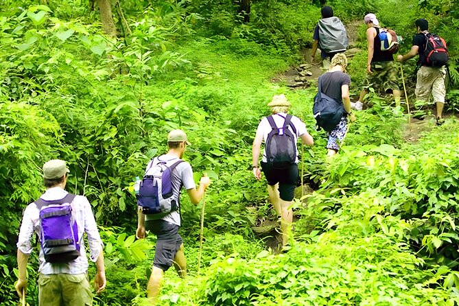 Jungle Trekking and Tamblingan Lake Canoeing in Bali Rainforest - Jungle hike to a Hindu temple: what you’ll actually experience