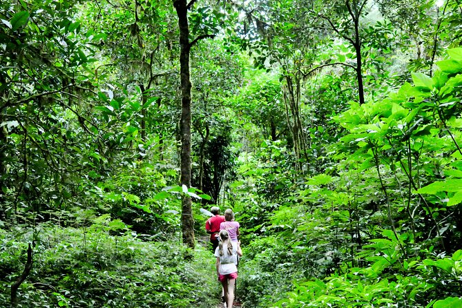 Jungle Trekking and Tamblingan Lake Canoeing in Bali Rainforest - Who should book this jungle trek and canoe day