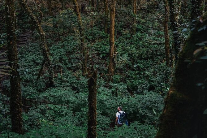 Jungle Wisdom Survival Trek - What you’ll learn: survival skills you can repeat back home