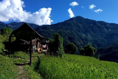 Kanchenjunga South Base Camp Trek - 13 Days - Day 2: Taplejung and the slow transition from road to trail
