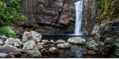 Kandy to Knuckles: Overnight Trekking & Hiking Adventure - Day 1: Hulu, Thaliya, Bambarella, and that tea near the falls