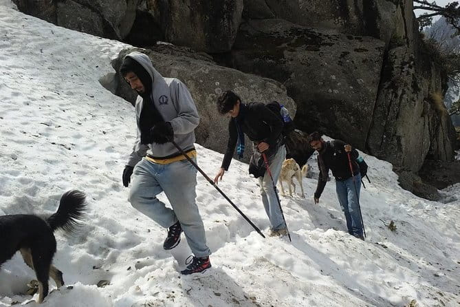 Kareri Lake Trek & Indrahar Pass Trek - Day 1: From Kareri village to Rioti campsite (and why that first hike matters)