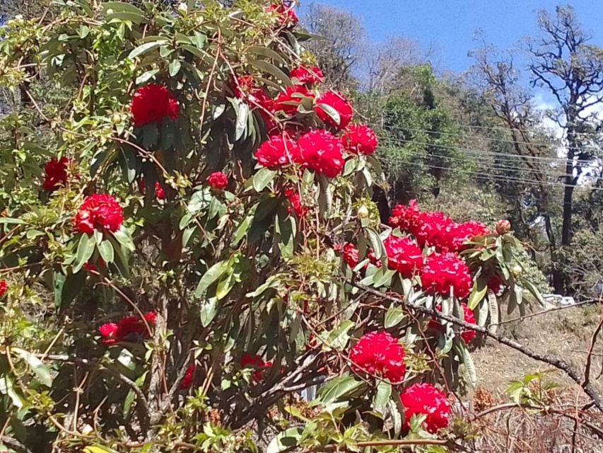Kathmandu: 10-Day Adventurous Annapurna Circuit Trek - Key highlights I’d circle