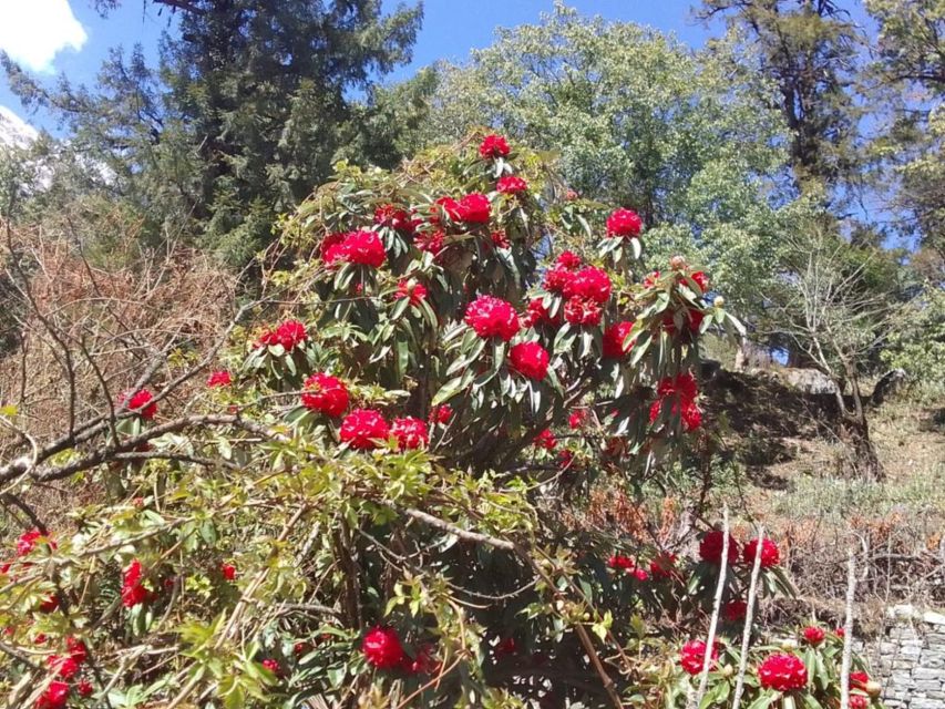 Kathmandu: 10-Day Adventurous Annapurna Circuit Trek - Gear That Actually Helps on Thorong La (Not Just Looks Serious)