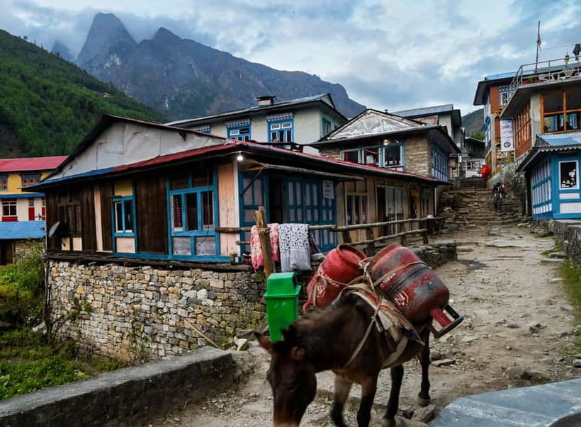 Kathmandu: 15-Day Everest Base Camp Trek with Guide - Key highlights you’ll care about