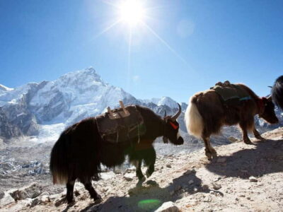 Kathmandu: 6 Days Langtang Valley Trek with Kyanjin Ri - Getting to Syabrubesi: the Kathmandu-to-mountains handoff