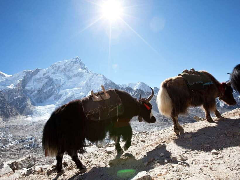Kathmandu: 6 Days Langtang Valley Trek with Kyanjin Ri - Getting to Syabrubesi: the Kathmandu-to-mountains handoff