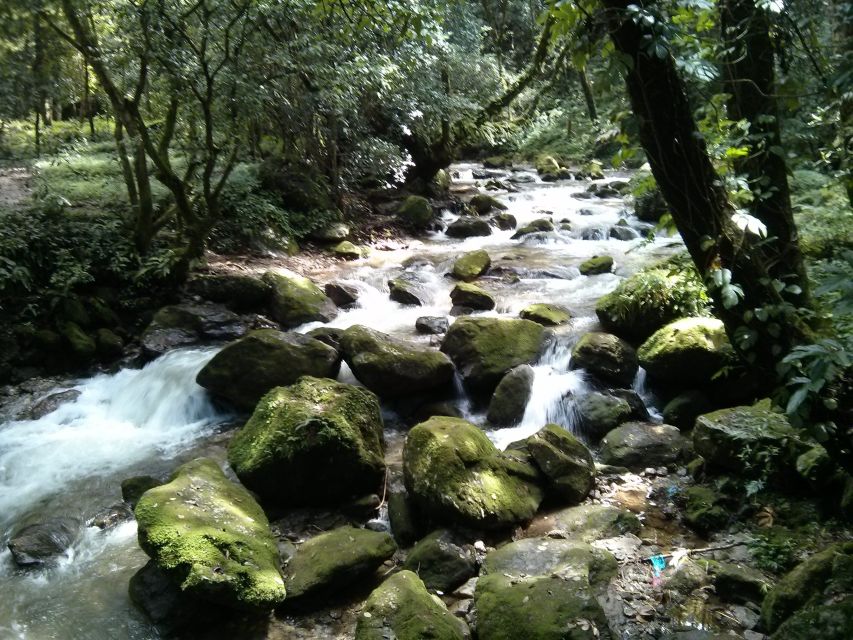 Kathmandu: Chisapani Nagarkot 3-Days 2-Nights Trek - Key highlights worth caring about