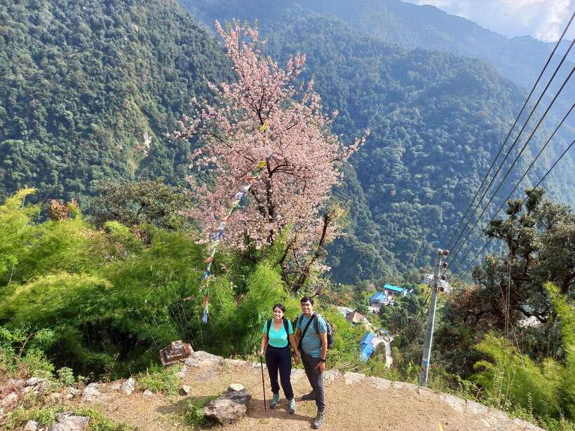 Kathmandu/Pokhara: 5-Day Annapurna Base Camp (ABC) Trek - Food and lodge reality: plan for tea-house basics