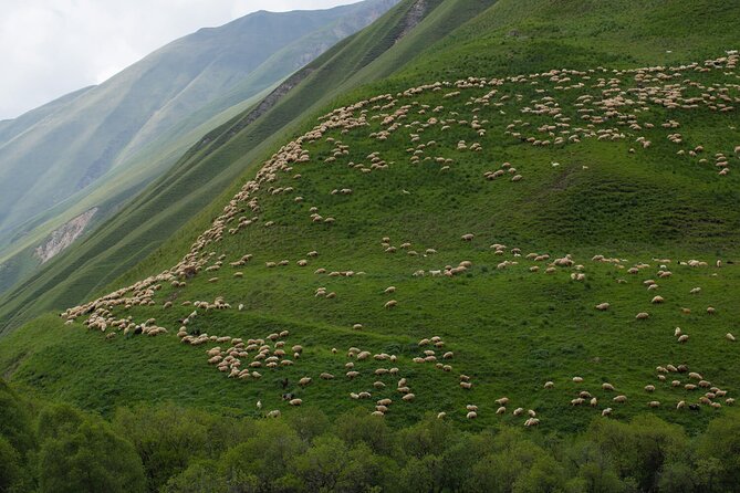 Kazbegi - One Day Private Trekking Tour to Truso Valley - Price and Value: What You’re Paying For at $320.82 per Group