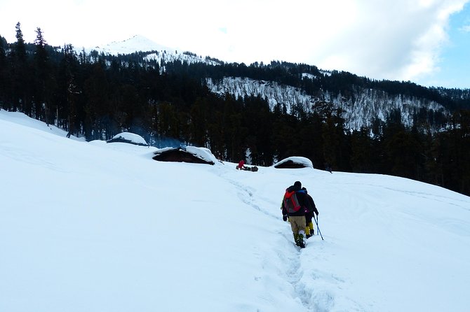 Kedarkantha Trek - Key highlights you’ll actually feel on the trail