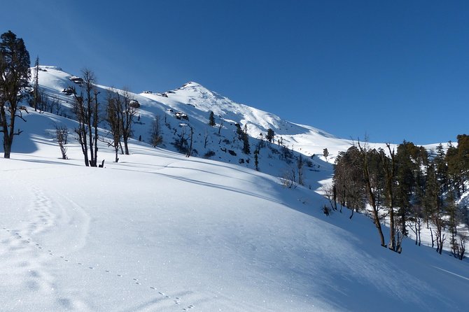 Kedarkantha Trek - Kedarkantha Trek in plain terms: what this trip is really about
