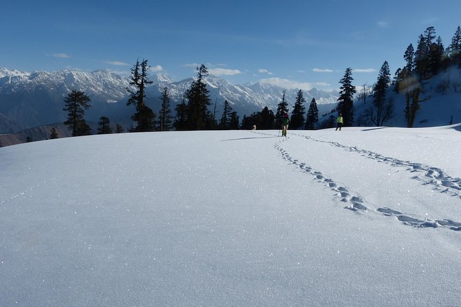Kedarkantha Trek - Day 4: From 11,250 feet to 12,500 feet for Kedarkantha Peak