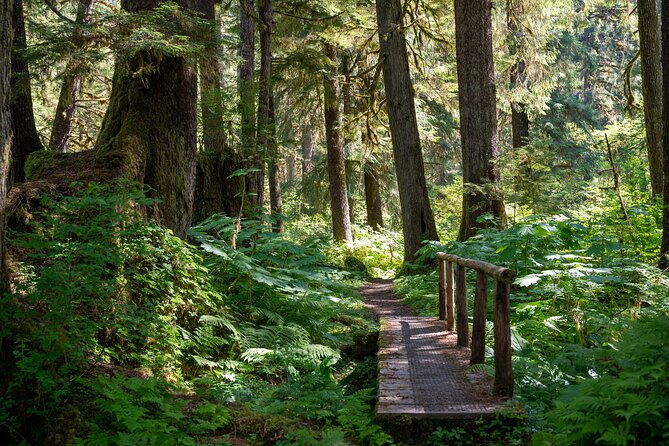 Ketchikan Magical Old-Growth Creek Trek Guided Tour - Gear and comfort checklist that keeps the hike enjoyable