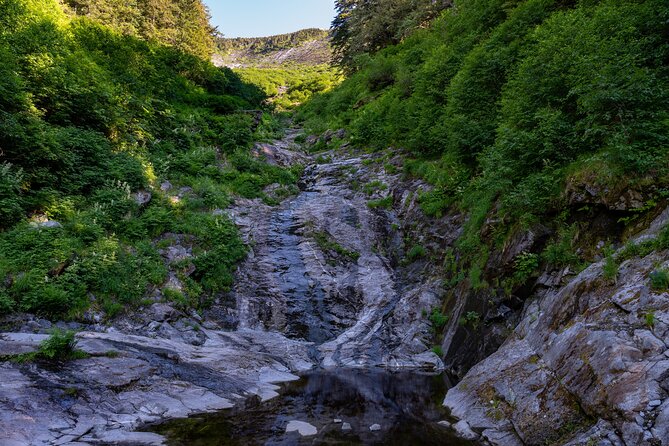Ketchikan Mountain Lake Trek to Avalanche Chute - Tongass National Forest: what you’ll experience on the trail