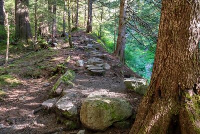 Ketchikan Mountain Lake Trek to Avalanche Chute - Meet-up and pickup in Ketchikan: how to not lose time