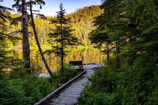 Ketchikan Mountain Lake Trek to Avalanche Chute - Value check: is $258.18 fair for a 3-hour hike?