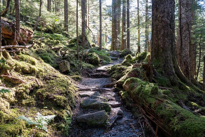 Ketchikan Mountain Lake Trek to Avalanche Chute - Who should book this hike in Ketchikan