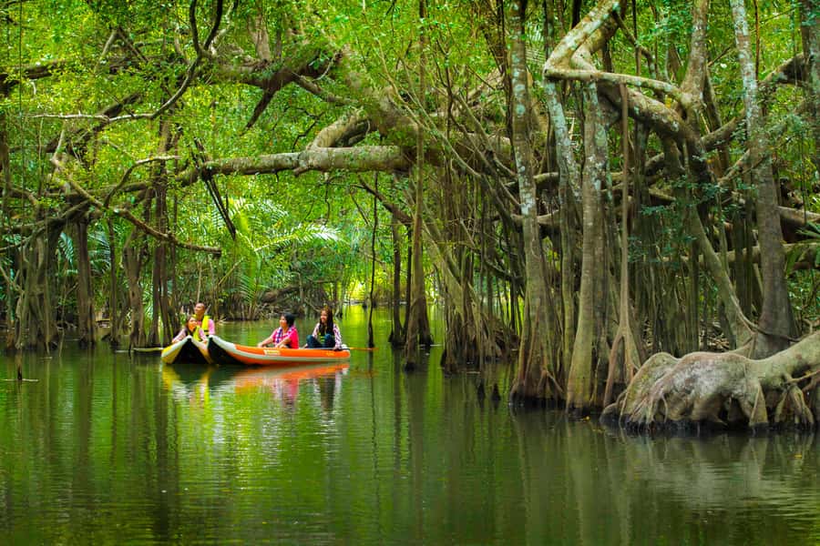 Khao Lak's Little Amazon: Canoe, Trek & Waterfall Day Trip - Pickup From Khao Lak and the Real Pace You’ll Feel