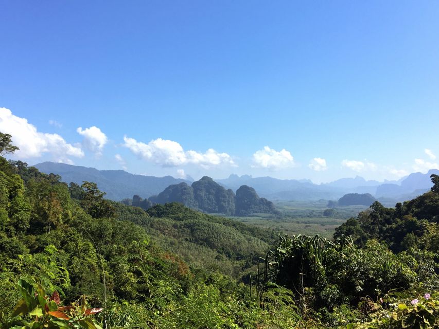 Khao Sok Jungle Day Trip - Jungle Trekking & Bamboo Rafting - Key things to look forward to