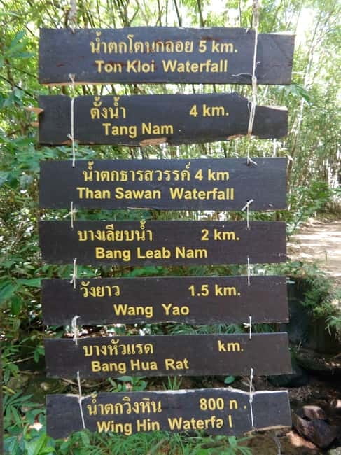 Khao Sok Jungle Day Trip - Jungle Trekking & Bamboo Rafting - Bamboo rafting on the Sok River: paddle guides and slower wildlife watching