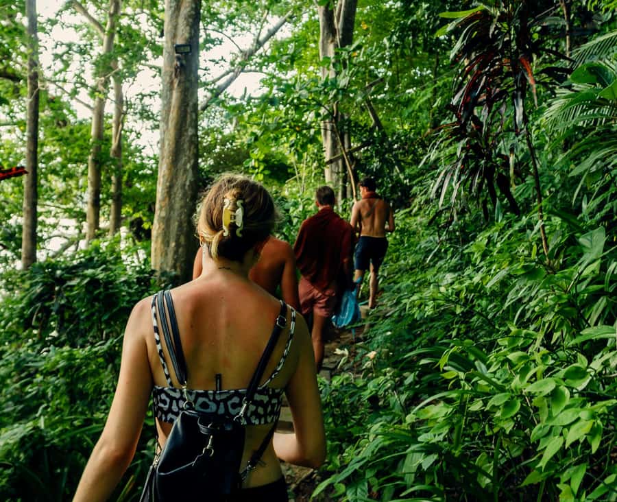 Khao Sok: Private Day Trekking, Jungle Dinner & Night Safari - Should You Book Khao Sok Private Trekking, Jungle Dinner, and Night Safari?