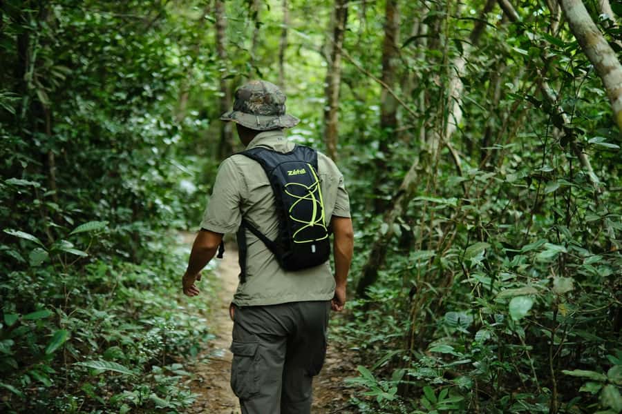 Khao Sok: Private Day Trekking, Jungle Dinner & Night Safari - Hidden Waterfall Time: Swim, Reset, and Let the Forest Catch Its Breath
