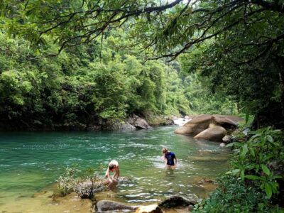 Khao Sok: Private Day Trekking, Jungle Dinner & Night Safari - The 2-Hour Jungle Trek: How Your Guide Finds the Small Stuff That Matters