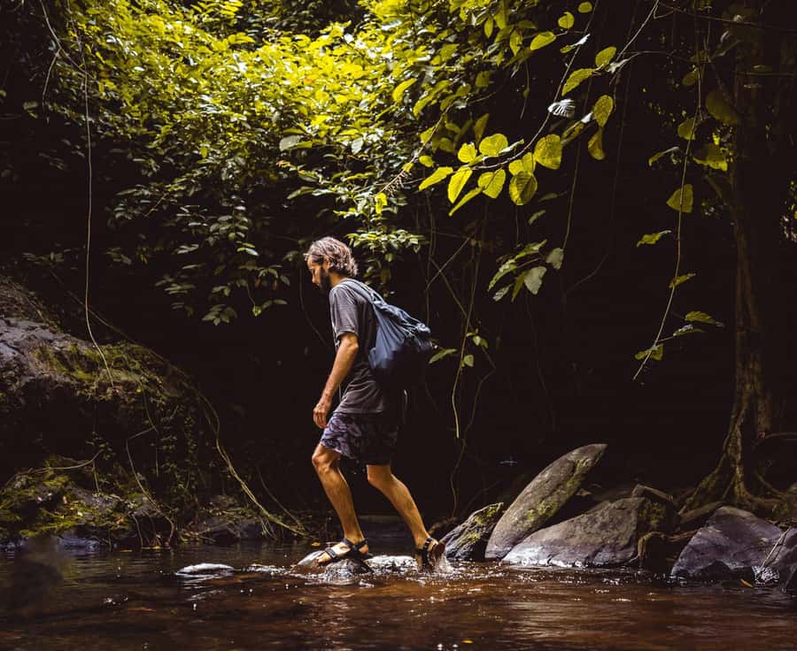 Khao Sok: Private Day Trekking, Jungle Dinner & Night Safari - Traditional Jungle Dinner Over an Open Fire (and Often in Bamboo)