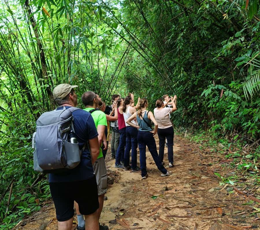 Khao Sok: Private Day Trekking, Jungle Dinner & Night Safari - Price and Value: $192 for Two, What You’re Actually Paying For