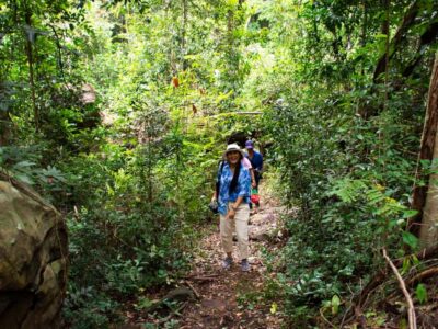 Khao Sok: Private Jungle Trek, Waterfall Swim & Bamboo Lunch - Walking the Rainforest with an English Guide Who Watches the Details