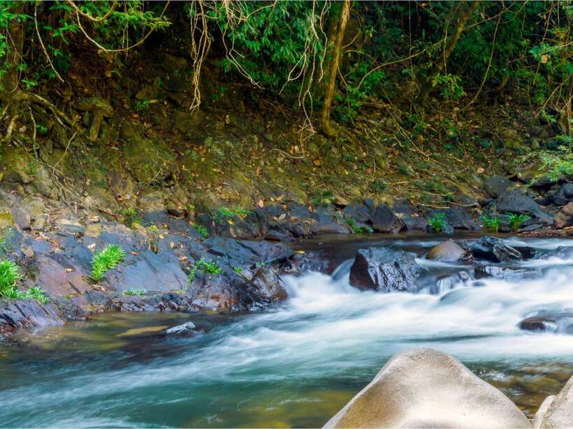 Khao Sok: Private Waterfalls and Wildlife Half-Day Trek - Who this trek is best for (and who should skip it)