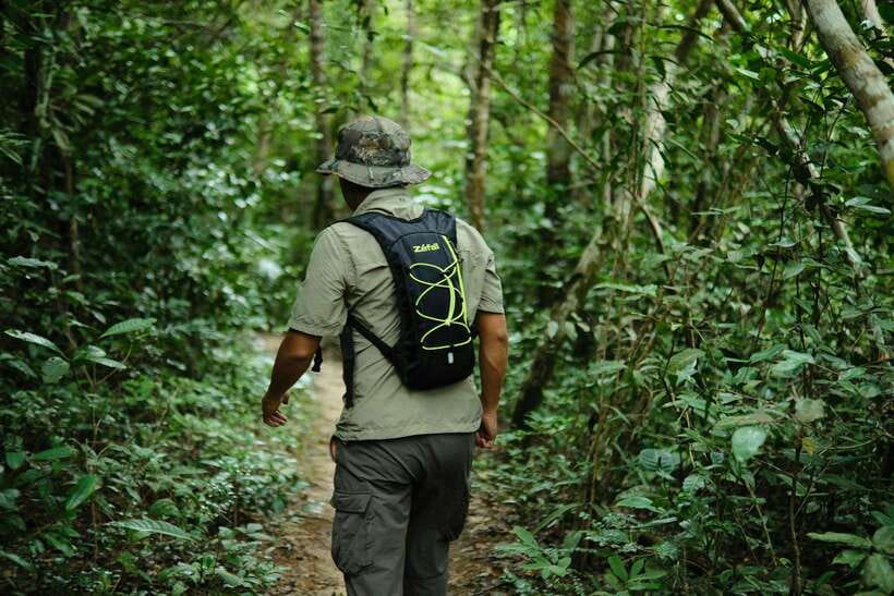 Khao Sok: Private Waterfalls and Wildlife Half-Day Trek - Price and value: why this $48 half-day makes sense