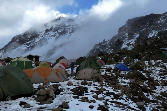 Kilimanjaro 7 Day Private Trekking Experience - Descent through Mweka rainforest: celebration, shower time, and a certificate