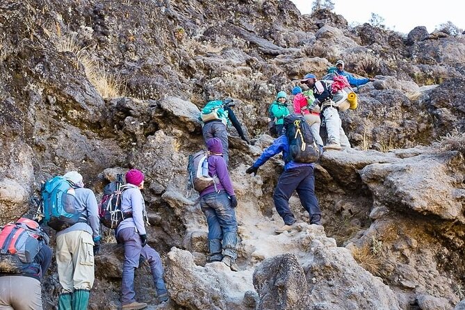 Kilimanjaro 7 Day Private Trekking Experience - Should you book this 7-day private Kilimanjaro climb?