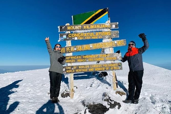 Kilimanjaro Trekking 7Days 6Night Lemosho Route - Day 1 from Londorossi Park Gate: Forest Wildlife and a Ranger-Led Start